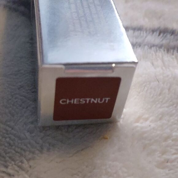 Other - New Wayne Goss Lipstick Chestnut